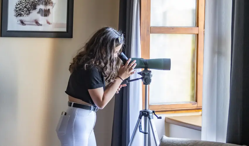 4 vszak Hegyihotel Mtrahza - Hsvt