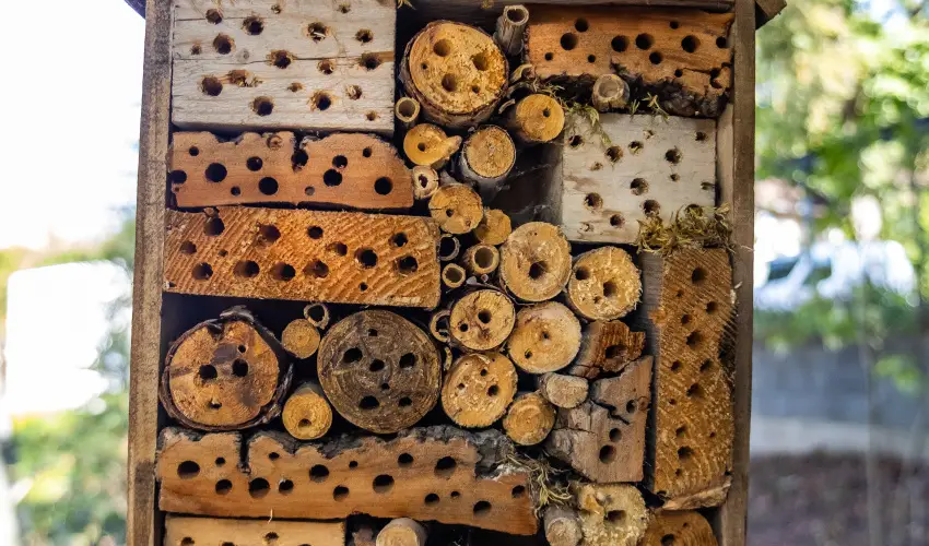 4 vszak Hegyihotel Mtrahza - Hsvt