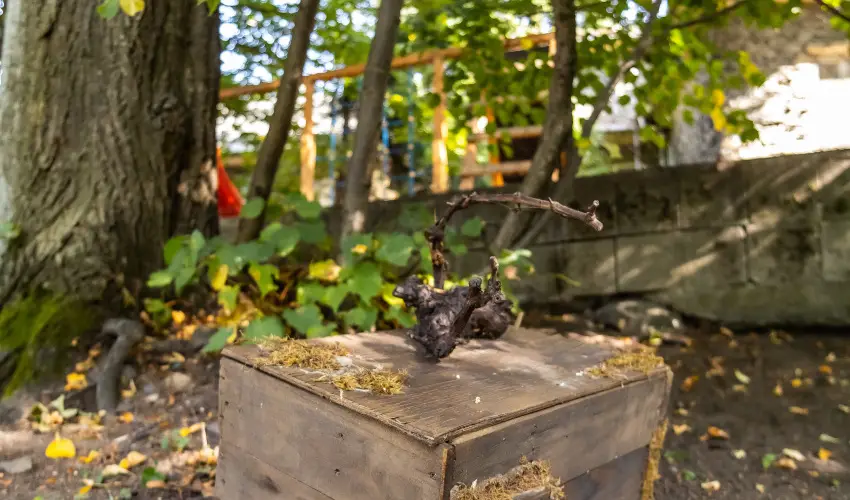 4 vszak Hegyihotel Mtrahza - Hsvt