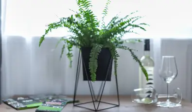 4 vszak Vlgyhotel Mtrafred