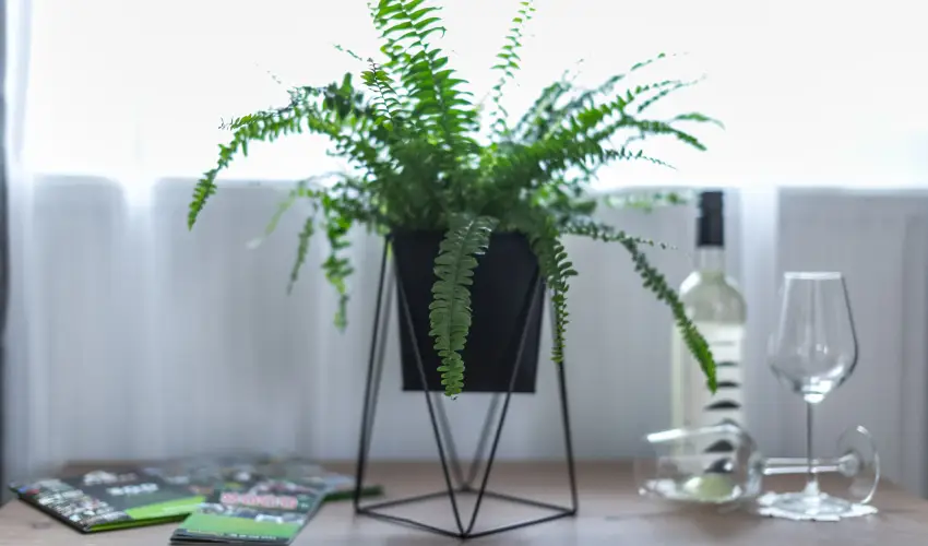 4 vszak Vlgyhotel Mtrafred - Hsvt