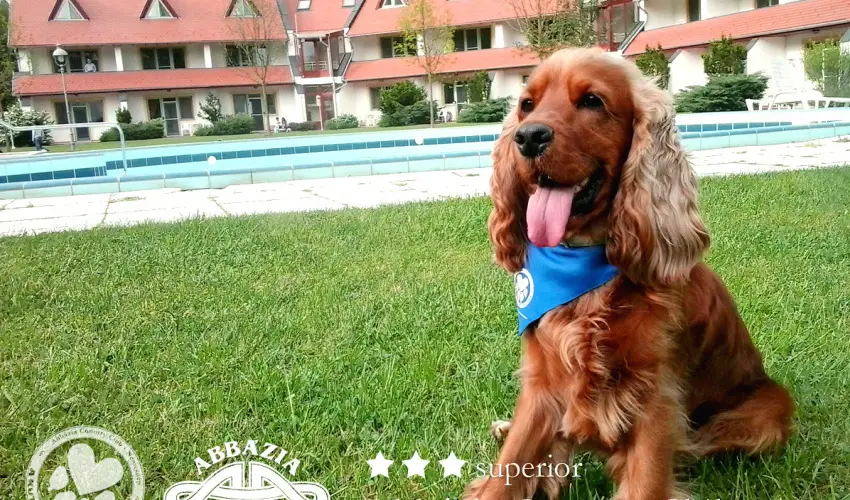 Abbzia Country Club Nemesnp - Hsvt - teljes elrefizetssel (min. 2 j)