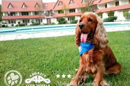 Abbzia Country Club - Hsvt (min. 2 j)