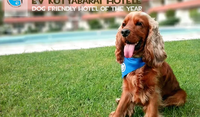 Abbzia Country Club Nemesnp - Hsvt - teljes elrefizetssel (min. 2 j)