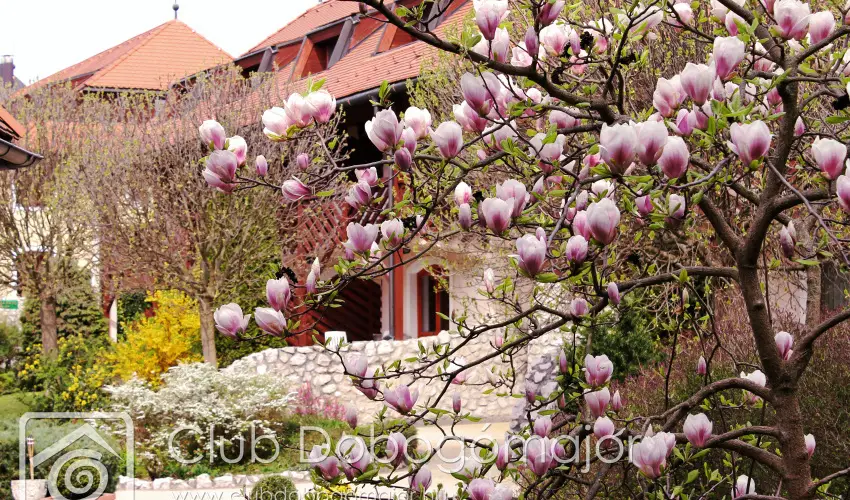 Club Dobogmajor Cserszegtomaj - Hsvt - teljes elrefizetssel (min. 2 j)
