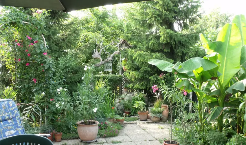 Agod Apartman Gyula - Hsvt (min. 3 j)