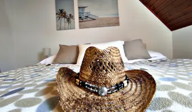 Alea Apartmanok Harkny Harkny