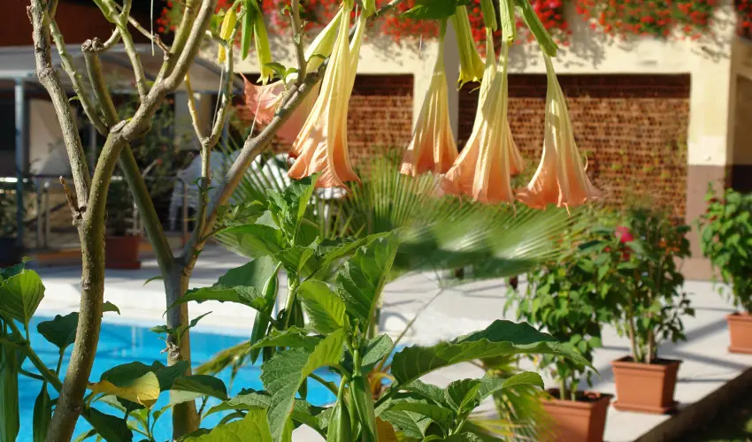 Alfa Hotel Miskolctapolca - Húsvét (min. 2 éj)