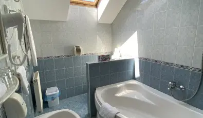 Tisza Alfa Hotel Szeged