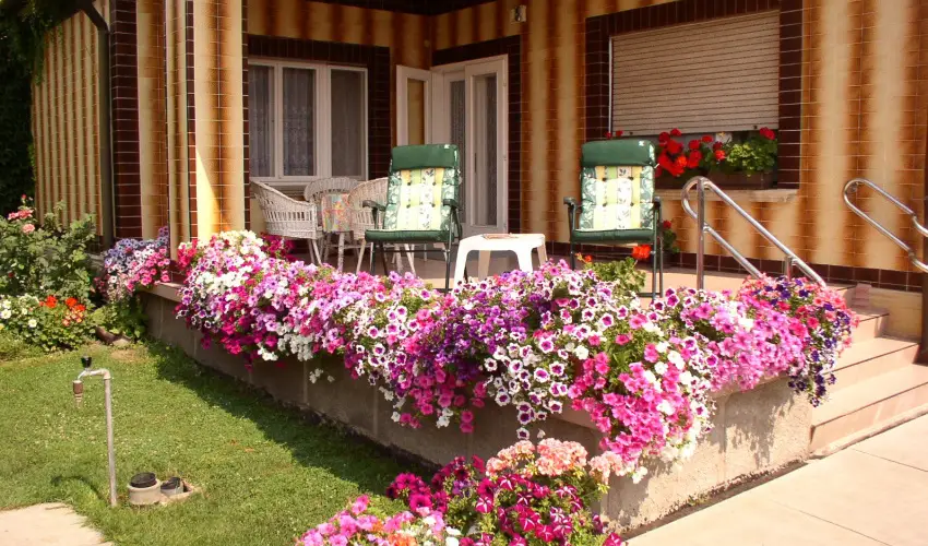 Amlia Apartman Gyula - Hsvt