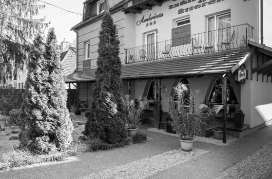 Ambr�zia Sz�ll�shely �s �tterem - H�sv�t (min. 3 �j)