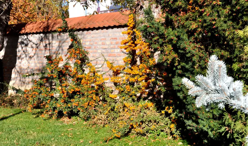 Ametiszt Hotel Harkny - Hsvt (min. 3 j)