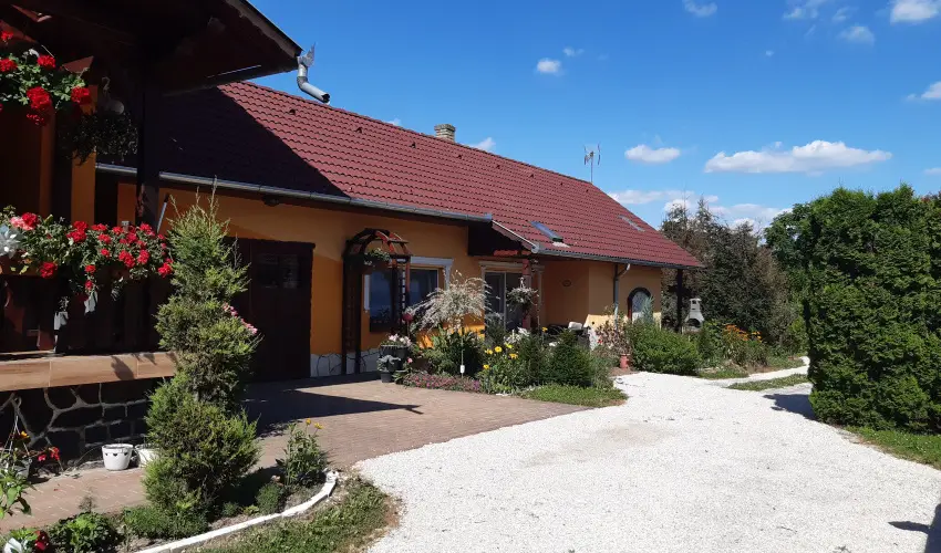 Andrea Vendghz Kehidakustny - Hsvt (min. 3 j)