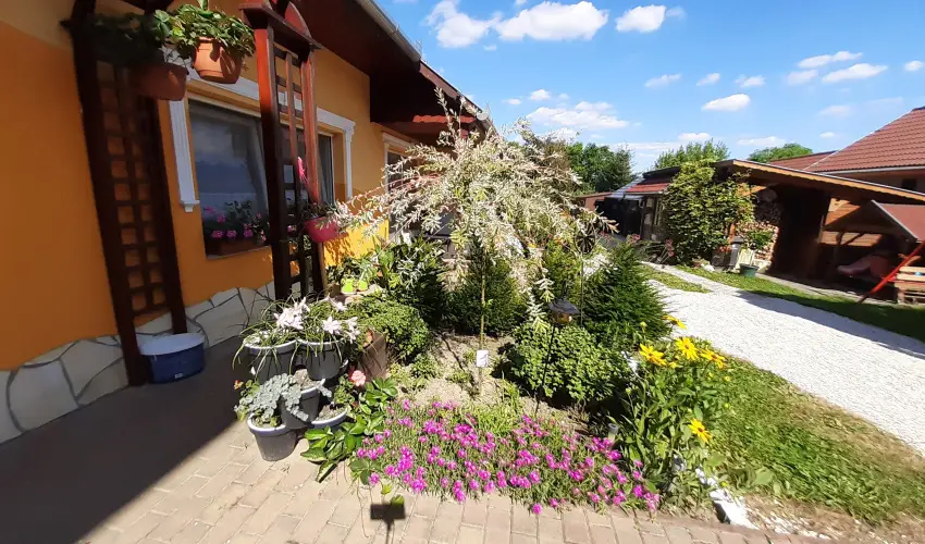 Andrea Vendghz Kehidakustny - Hsvt (min. 3 j)