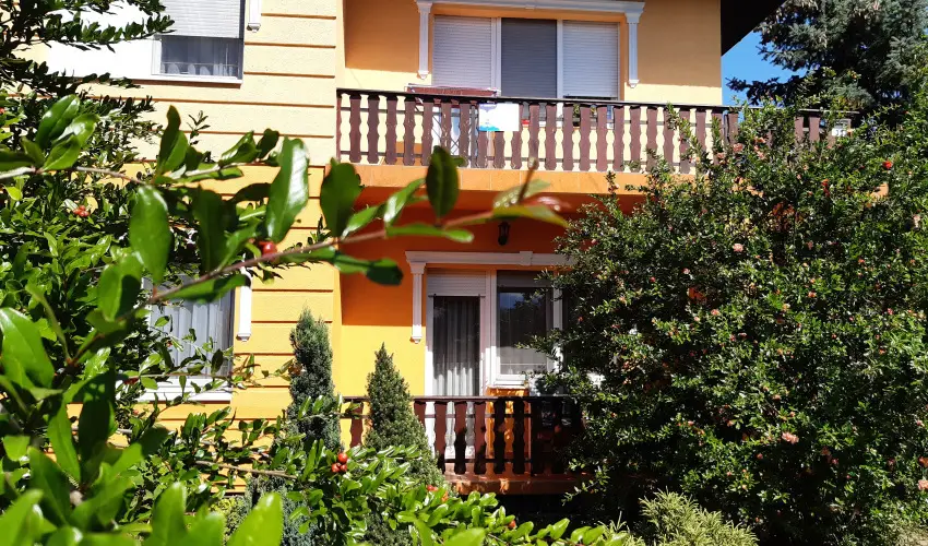 Andrea Vendghz Kehidakustny - Hsvt (min. 3 j)