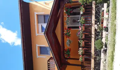 Andrea Vendghz Kehidakustny