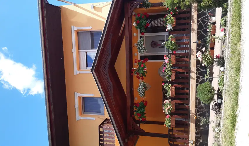 Andrea Vendghz Kehidakustny - Hsvt (min. 3 j)