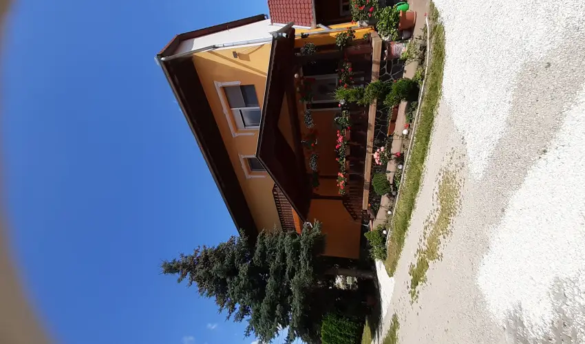 Andrea Vendghz Kehidakustny - Hsvt (min. 3 j)