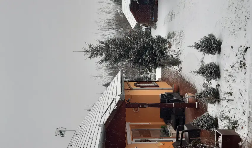 Andrea Vendghz Kehidakustny - Hsvt (min. 3 j)