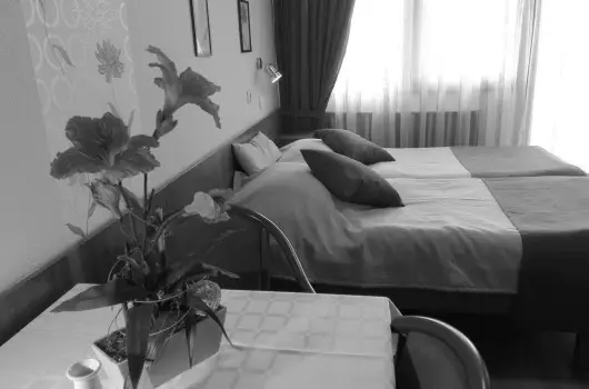 Apartman Hotel - H�sv�t 