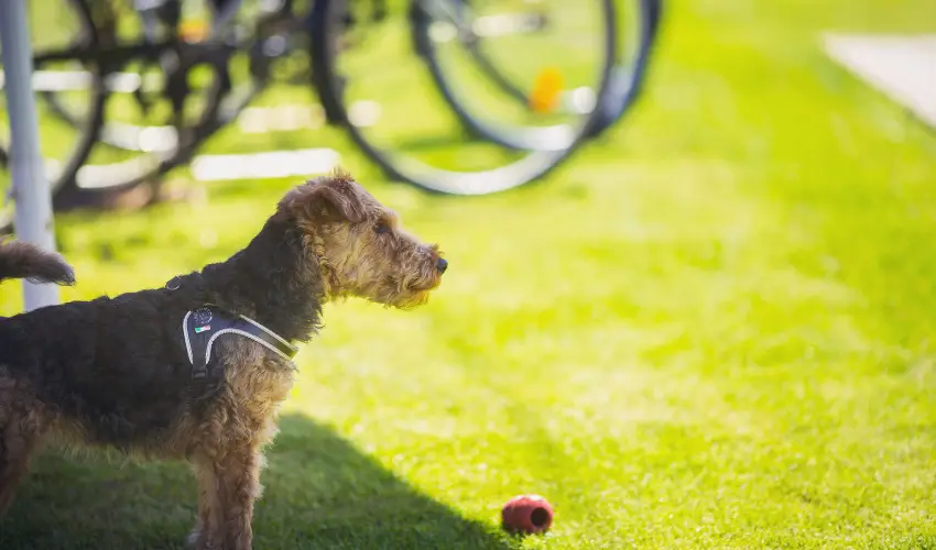 Apartman Szanyi Bk, Bkfrd - Hsvt