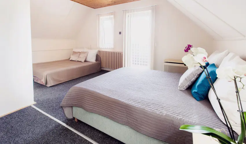 Apartman Szanyi Bk, Bkfrd - Hsvt