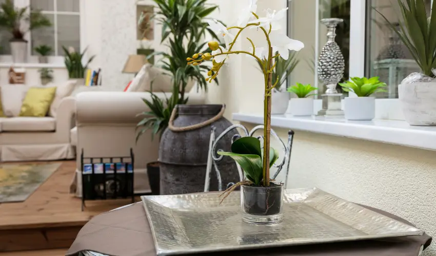 Aquasol Resort Mosonmagyar�v�r - H�sv�t (min. 3 �j)