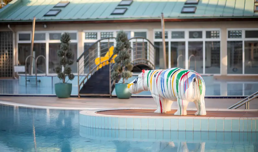 Aquasol Resort Mosonmagyar�v�r - H�sv�t (min. 3 �j)