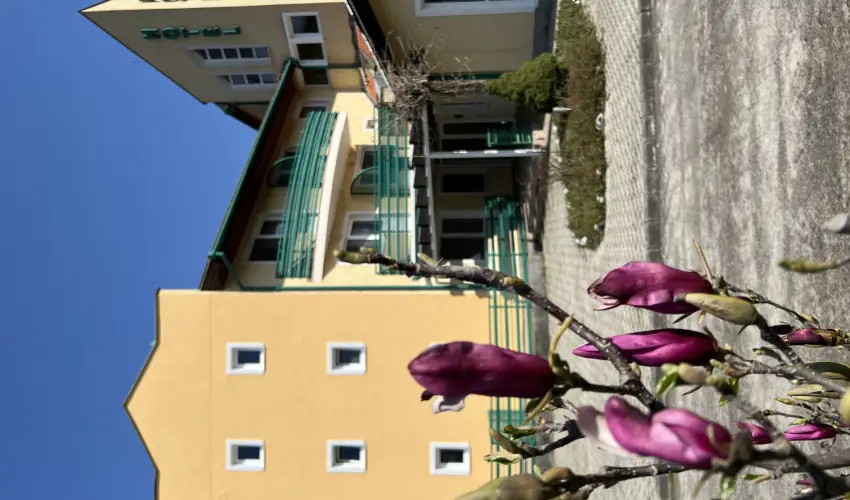 Aquatherm Hotel Zalakaros - H�sv�t (min. 2 �j)