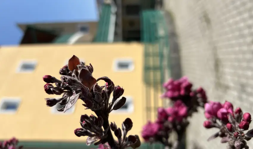 Aquatherm Hotel Zalakaros - H�sv�t (min. 2 �j)