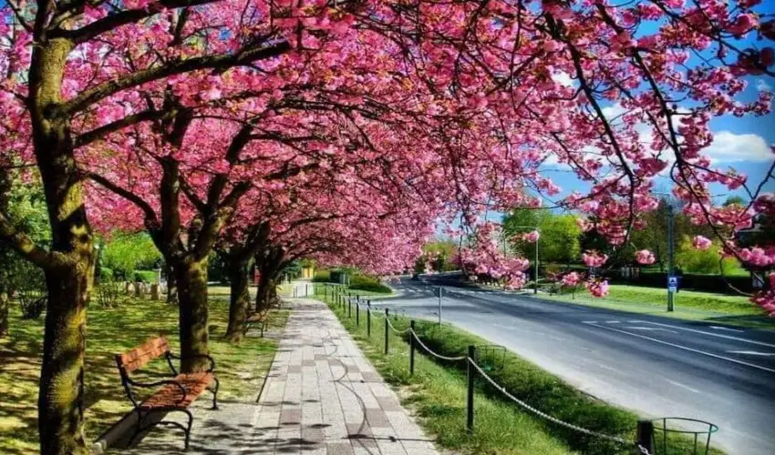 Arany Apartmanhz Zalagyngye  Zalakaros - Hsvt (min. 2 j)