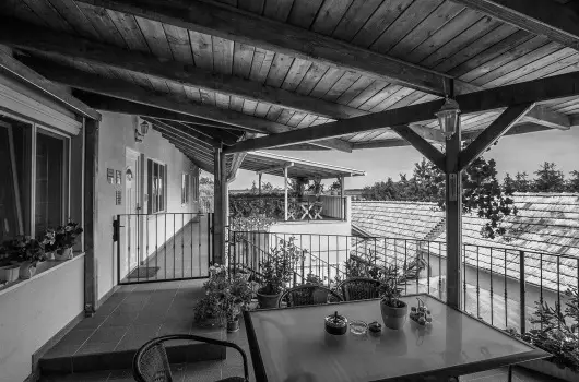 Aranypatk� Panzi� - H�sv�t