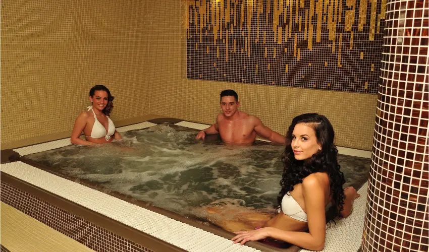 Arcanum Hotel Bkscsaba - Hsvt