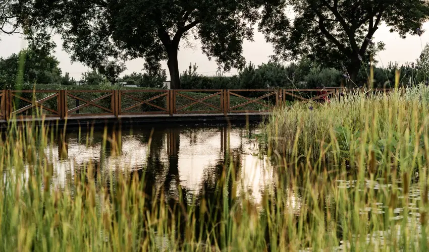 Arcanum Hotel Bkscsaba - Hsvt