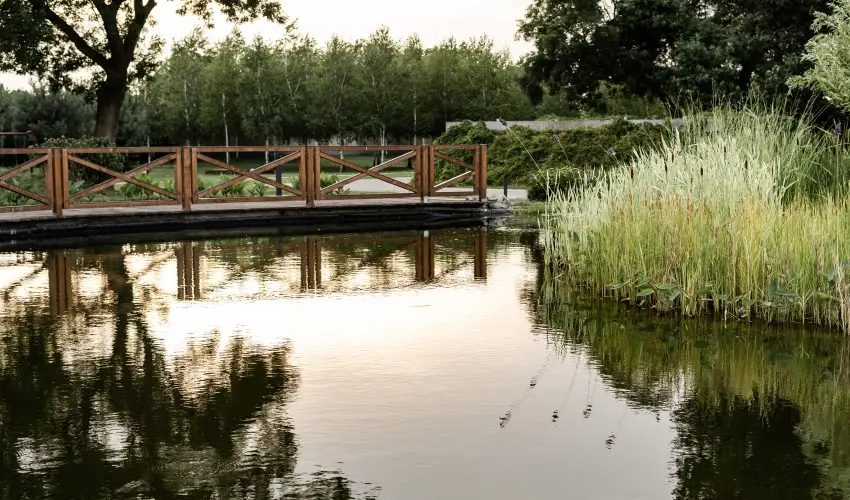 Arcanum Hotel Bkscsaba - Hsvt