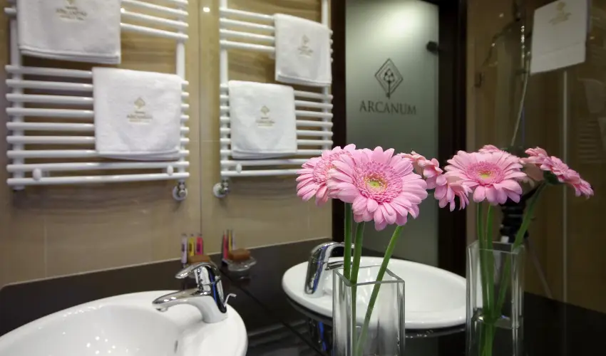 Arcanum Hotel B�k�scsaba - H�sv�t