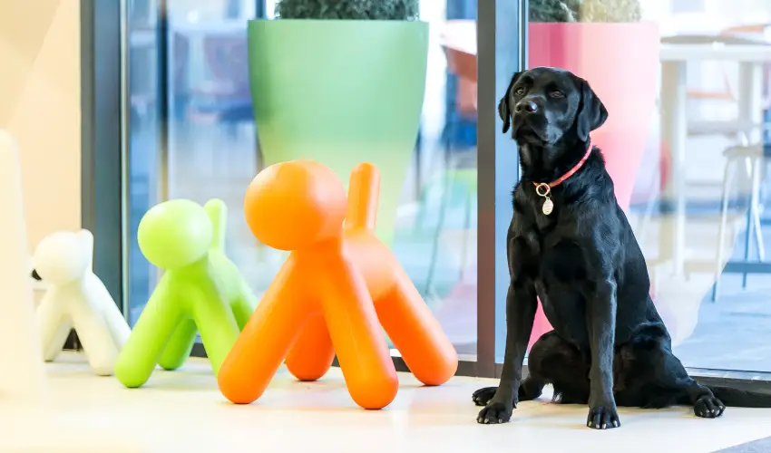 Art Hotel Szeged Szeged - Hsvt 