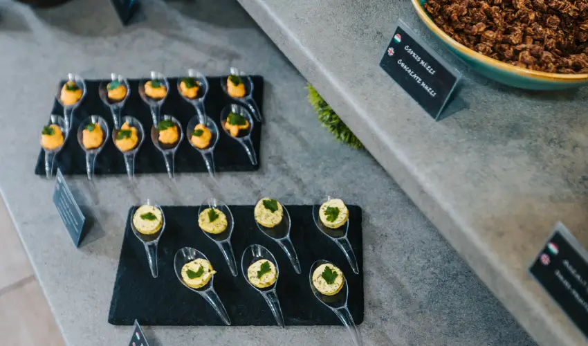 Auris Hotel Szeged Szeged - H�sv�t