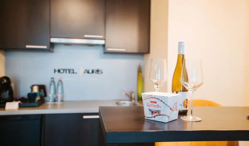 Auris Hotel Szeged Szeged - H�sv�t