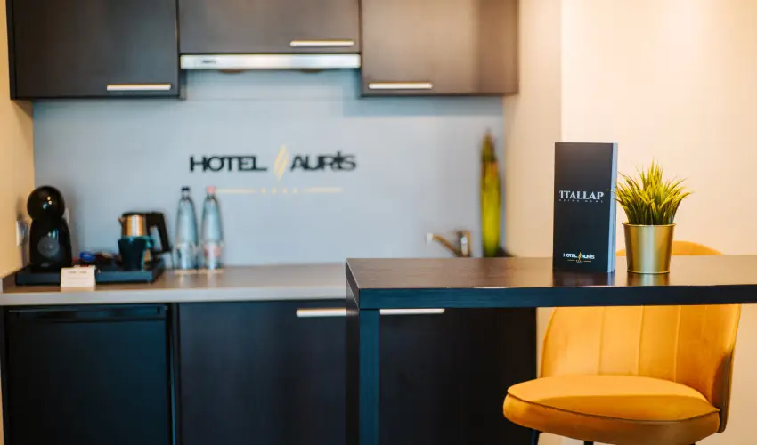 Auris Hotel Szeged Szeged - H�sv�t