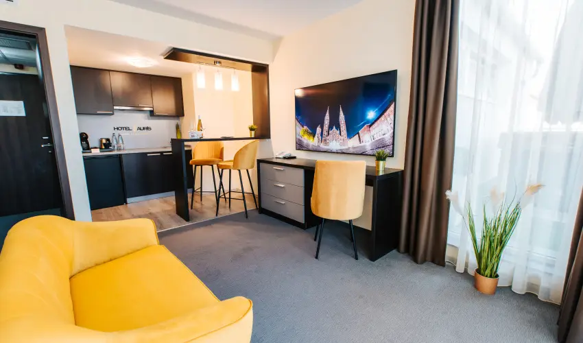 Auris Hotel Szeged Szeged - H�sv�t