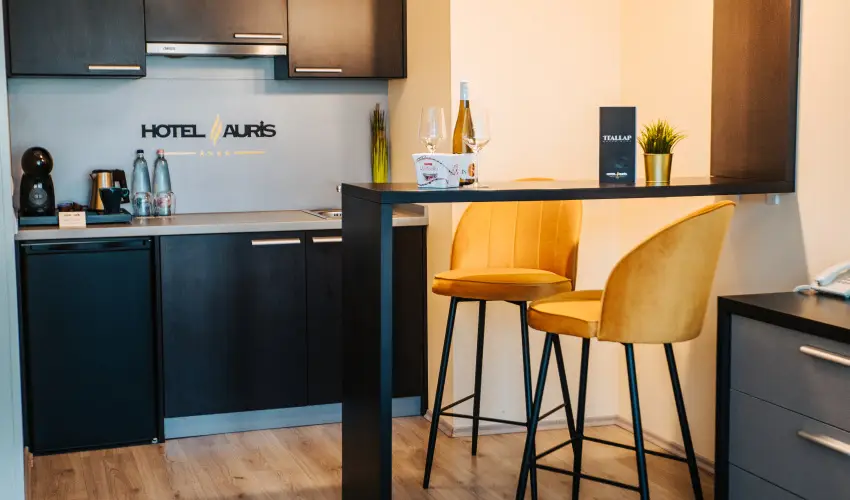 Auris Hotel Szeged Szeged - H�sv�t