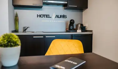 Auris Hotel Szeged Szeged