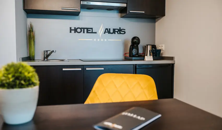 Auris Hotel Szeged Szeged - H�sv�t