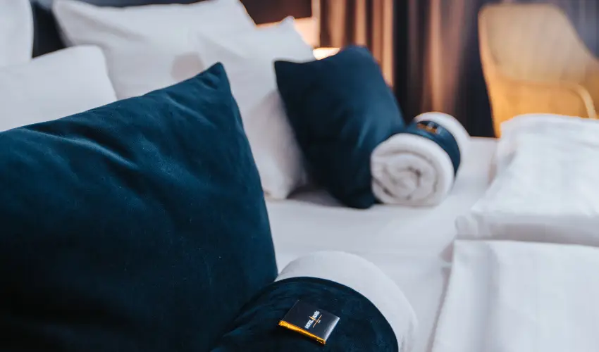 Auris Hotel Szeged Szeged - H�sv�t