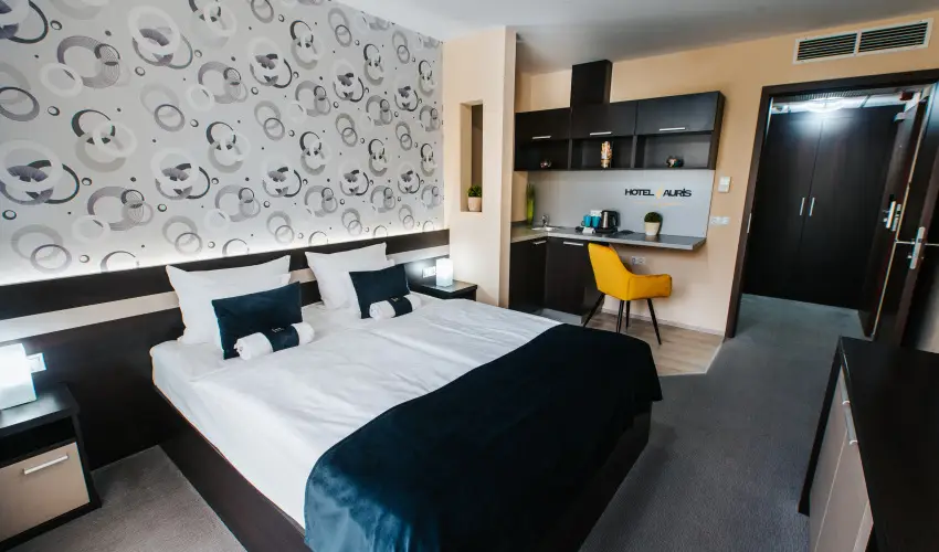 Auris Hotel Szeged Szeged - H�sv�t