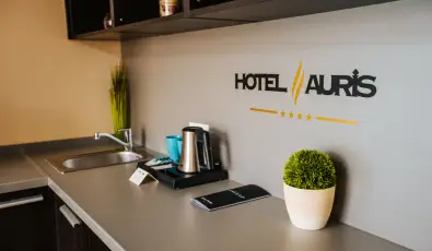 Auris Hotel Szeged Szeged