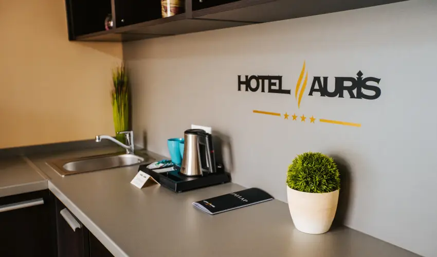 Auris Hotel Szeged Szeged - H�sv�t
