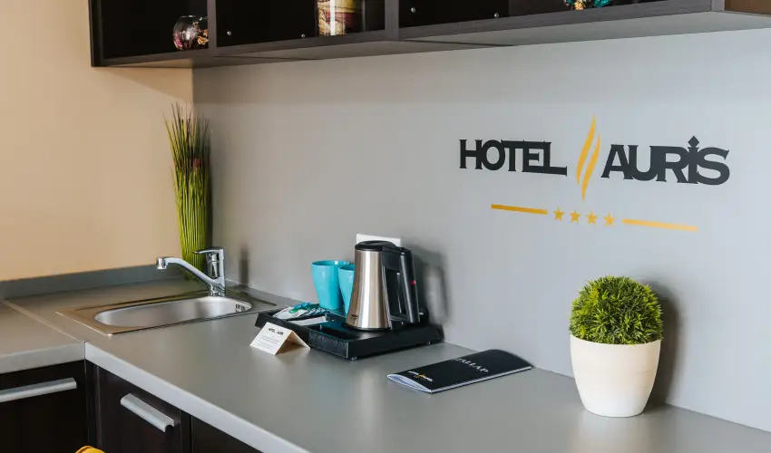 Auris Hotel Szeged Szeged - H�sv�t