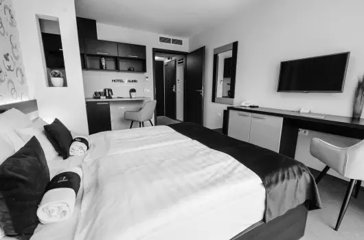 Auris Hotel Szeged - H�sv�t